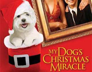 My Dogs Christmas Miracle premieres on Lifetime!